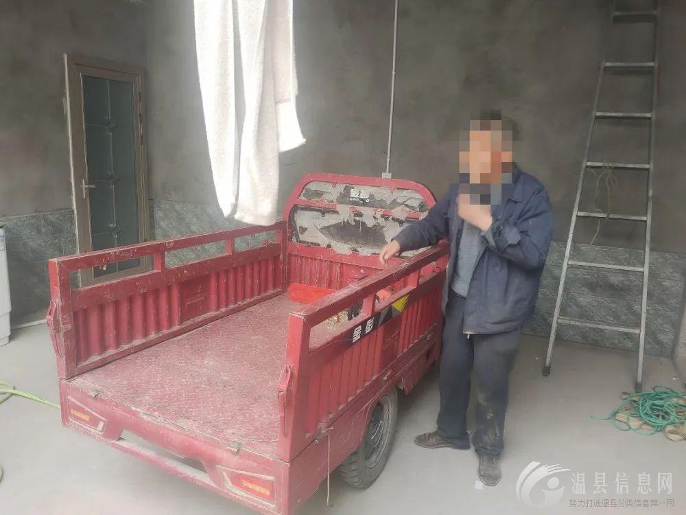 温县公安快速破获一起盗窃树木案