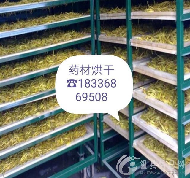 招聘烘干机设计工程师1名，公司专业生产山药，地黄，菊花，辣椒