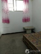 温县文化广场以北实验小学二分校附近学区房