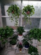 司马大街春城名家小区工作室一间，面积27平米，可做仓库，，可